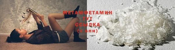 сатива Кинешма