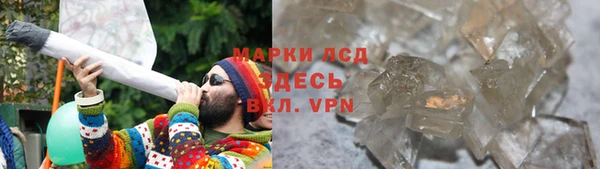 сатива Кинешма