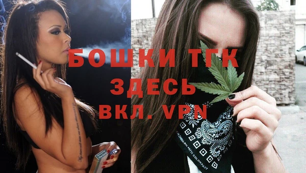 сатива Кинешма