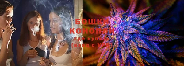сатива Кинешма