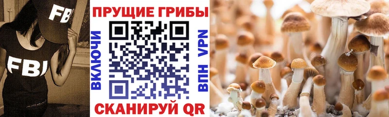 Галлюциногенные грибы MAGIC MUSHROOMS  Купить  Новоаннинский 